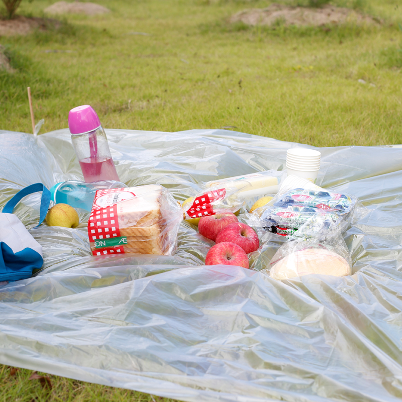 茶花一次性桌布加厚透明防水野餐台布10张装 【1.6*1.6m 防水防油】2包共20张