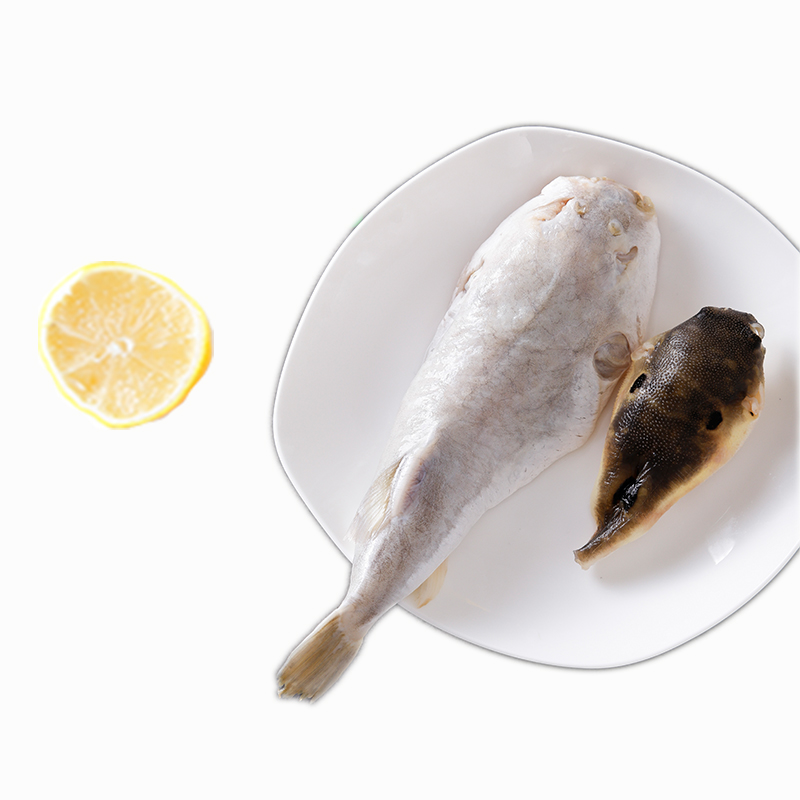豚之杰 河豚鱼食用 养殖淡水鱼河豚生鲜速冻冰鲜宰杀后200g/条