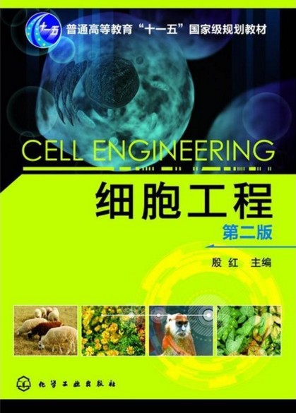 细胞工程(第2版)第二版 殷红 主编