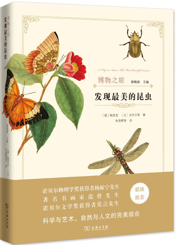 发现最美的昆虫/博物之旅