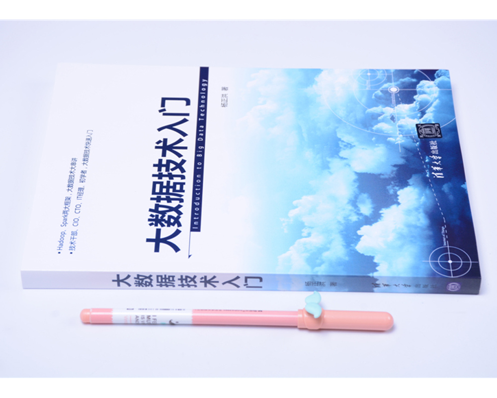 大数据技术入门详情图