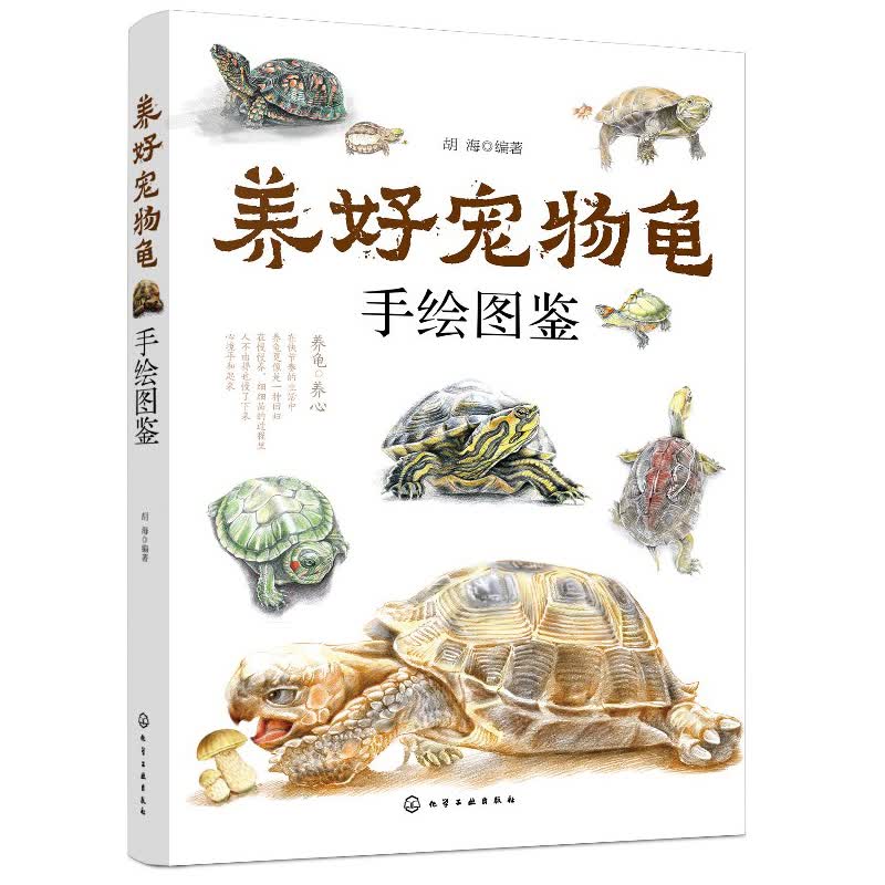 养好宠物龟手绘图鉴