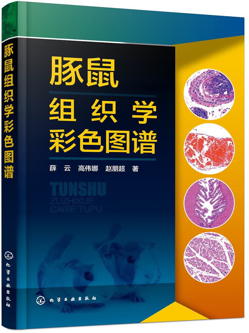 豚鼠组织学彩色图谱（彩色图解）