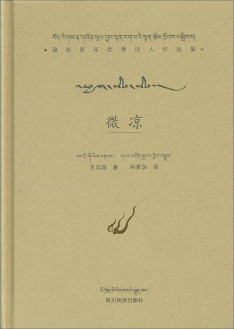 正版现货 微凉9787540973230