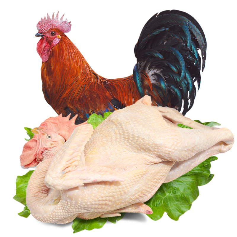 食裁 发2只土鸡 生鲜大公鸡 杀前约3斤/只 农村走地鸡 1600克