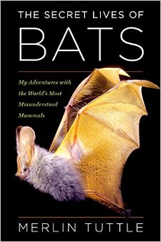 The Secret Lives of Bats My Adventures with the