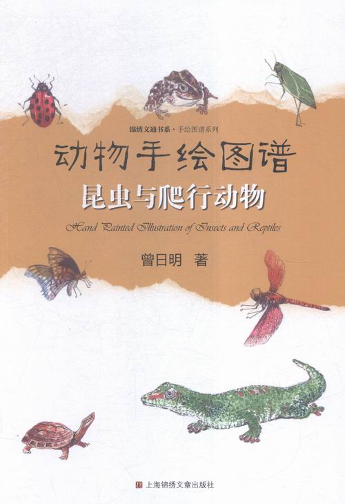 昆虫与爬行动物-动物手绘图谱 科普读物 书籍