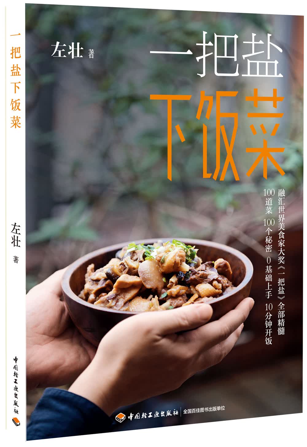 一把盐下饭菜