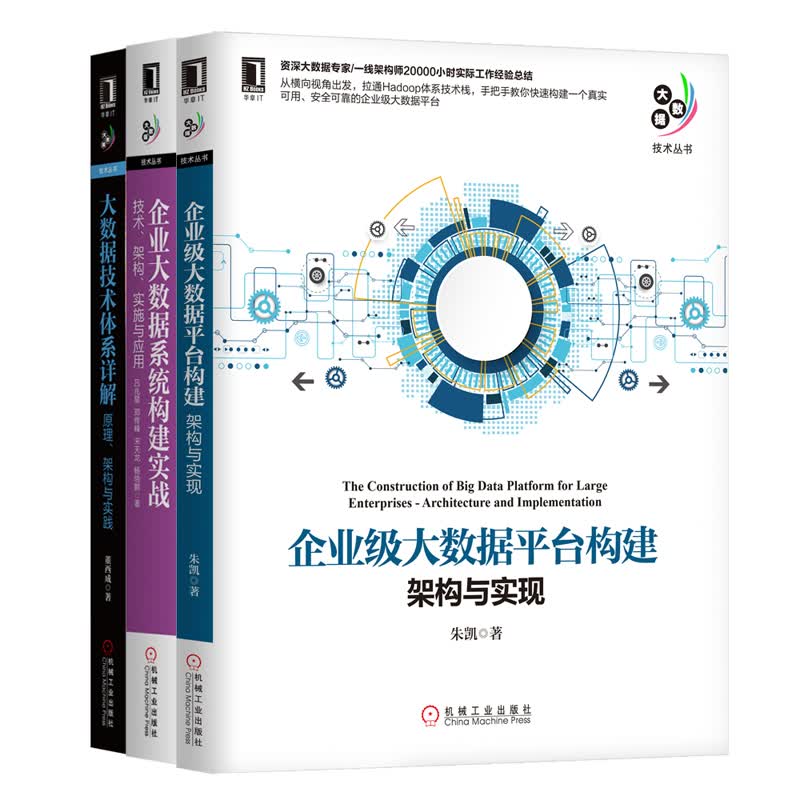 企业大数据系统构建：技术 架构 实施与应用 套装共3本