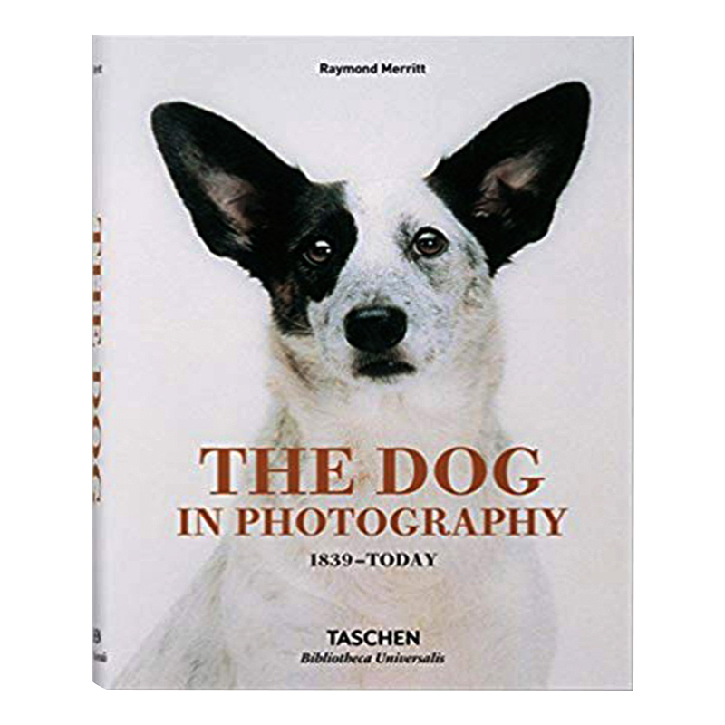 预订英文原版 the dog in photography 1839-today 摄影中的狗 183