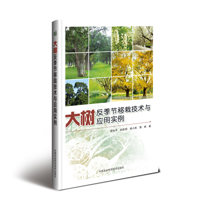 大树反季节移栽技术与应用实例