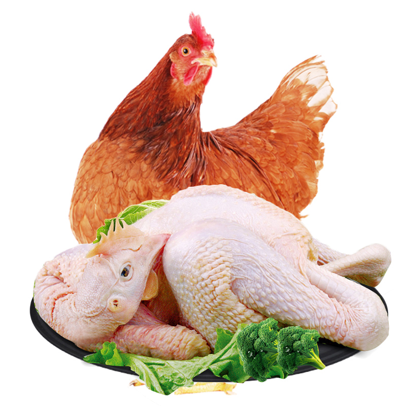 【发2只】食裁 土鸡 生鲜整只老母鸡养殖2年以上农村走地鸡肉杀后约1000g/只