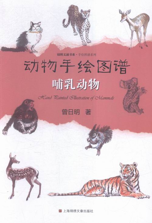 哺乳动物-动物手绘图谱 科普读物 书籍
