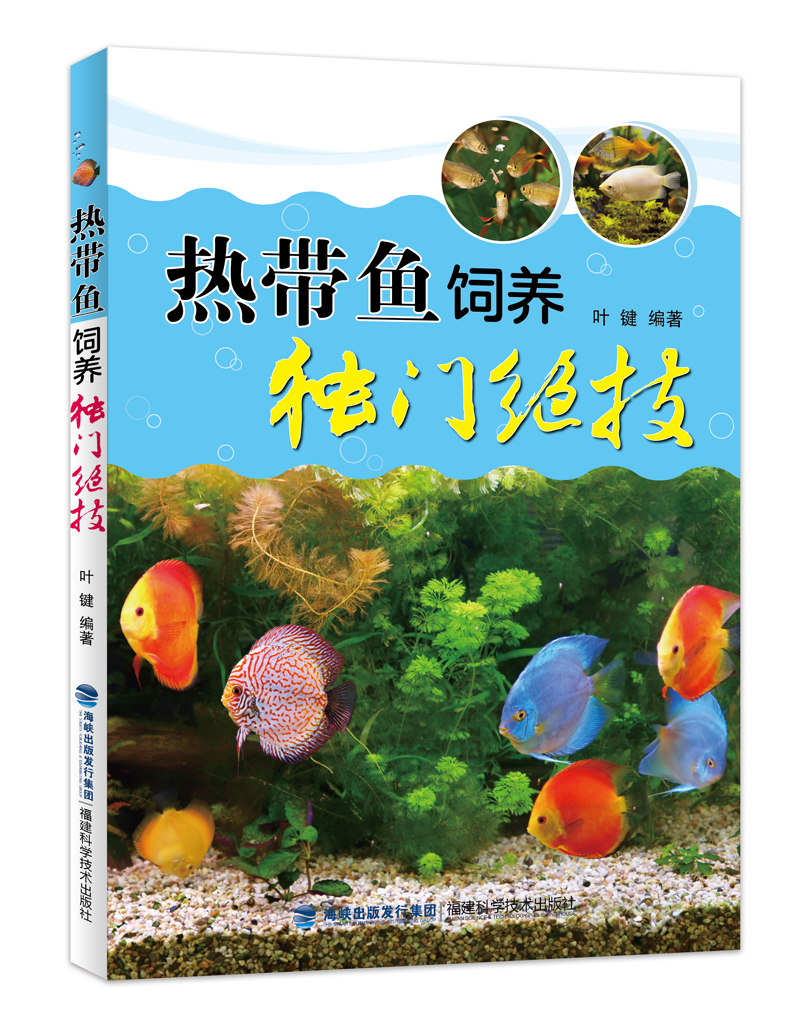 热带鱼饲养独门绝技