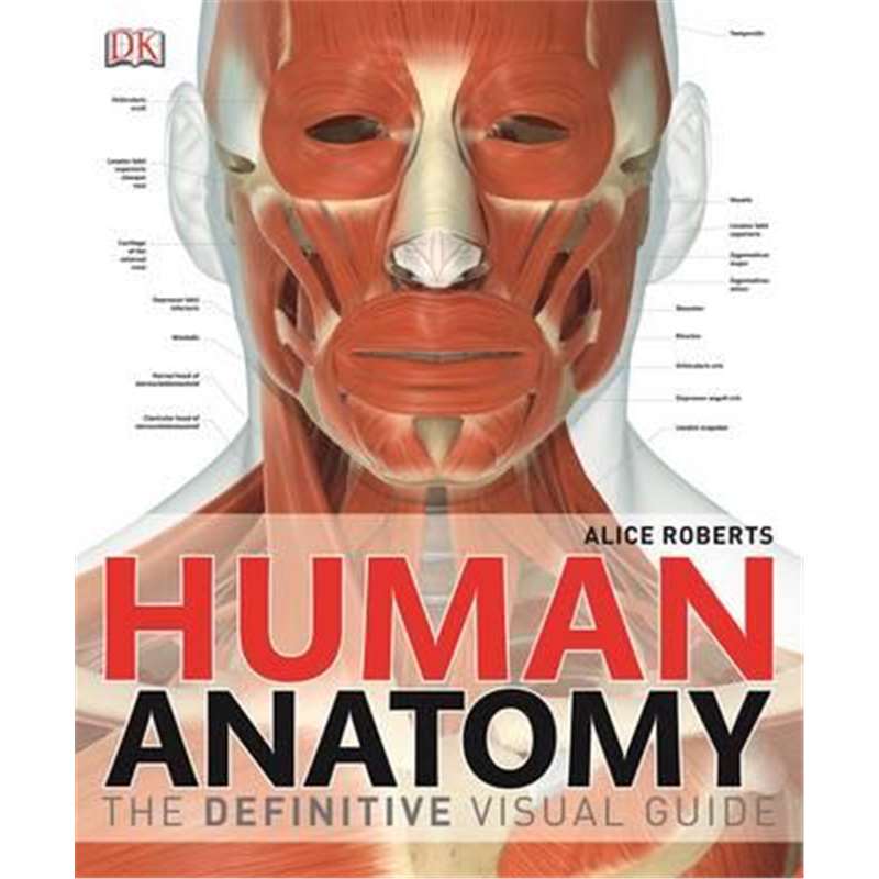 Human Anatomy