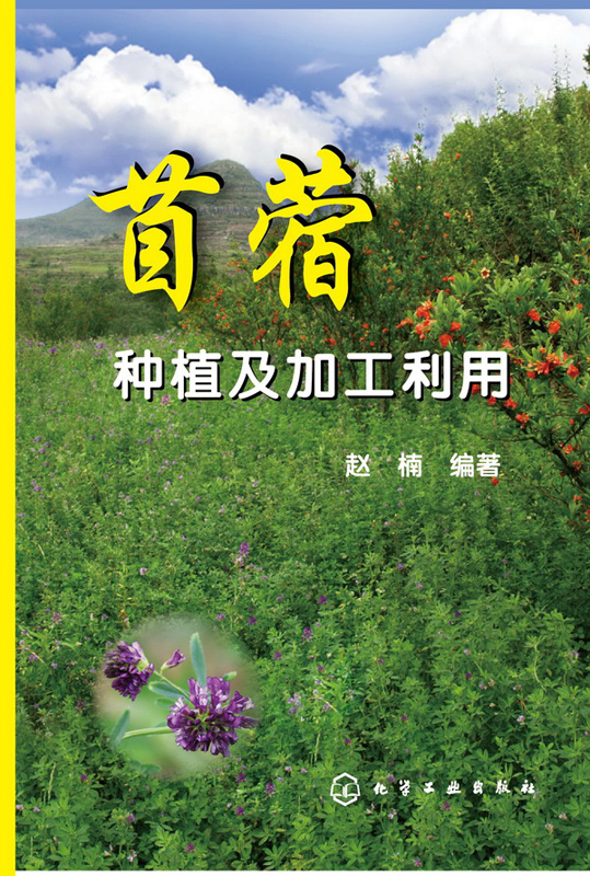 苜蓿种植及利用