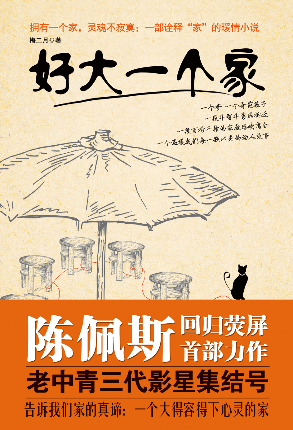 正版现货 好大一个家9787535472717