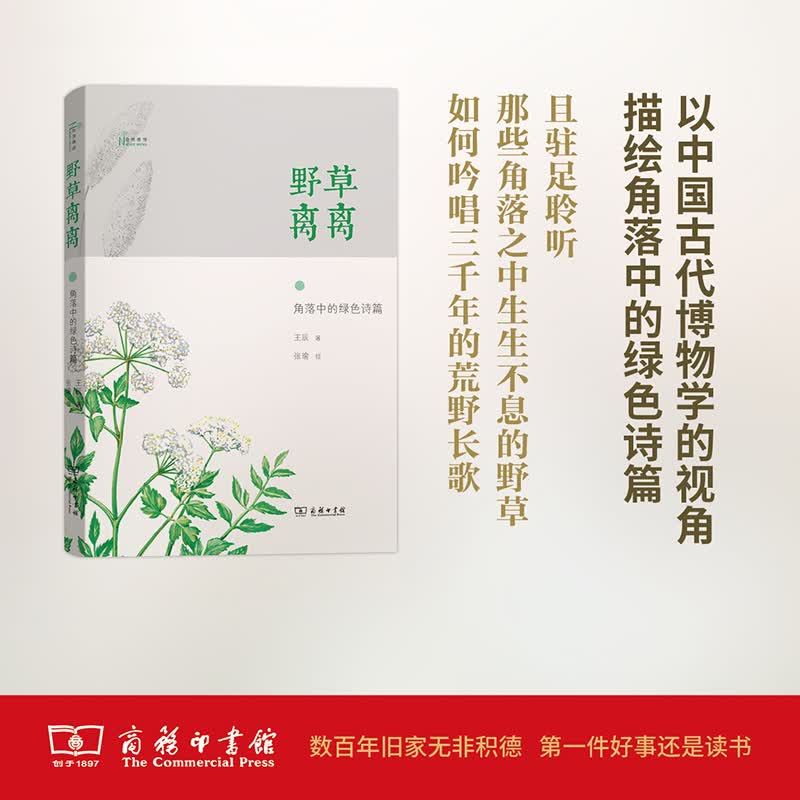 野草离离——角落中的绿色诗篇