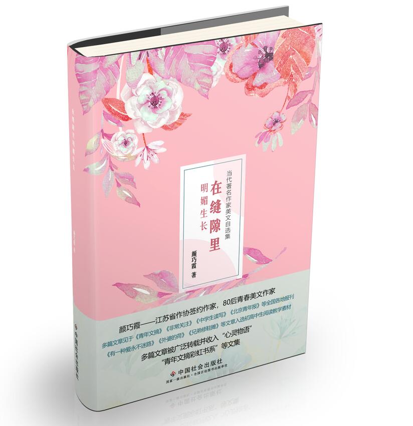 在缝隙里明媚生长