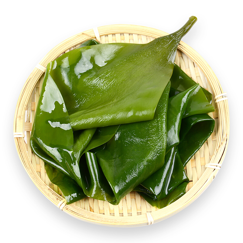 海芝宝 国产有机鲜海带1kg  凉拌烧烤 裙带食材 生鲜海鲜水产