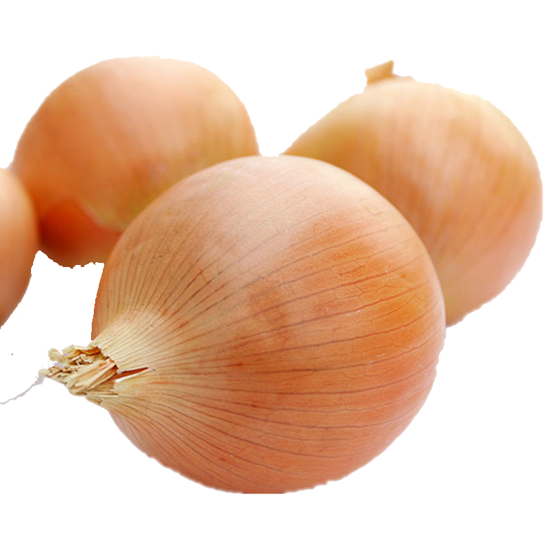 瑞农生鲜  农家自种山东特产圆葱黄大葱烧烤食材新鲜蔬菜 5斤装