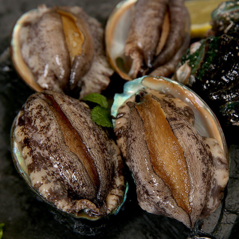味库营养十足鲜活鲍鱼
