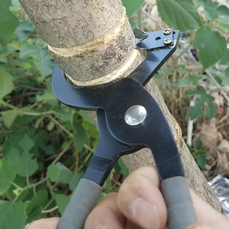 新型环剥钳枣树环剥工具 剥皮刀 开甲器割树皮果树  环割剪 新型环割刀