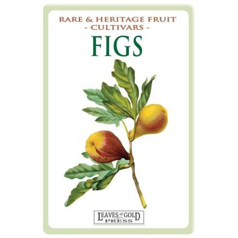 预订 Figs: Rare and Heritage Fruit Cultivars #13