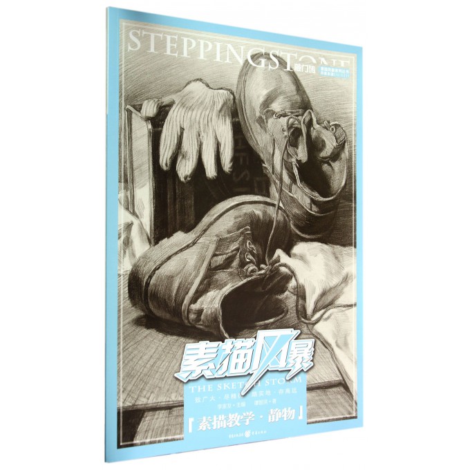 素描风暴(素描教学静物)/敲门砖素描风暴系列丛书