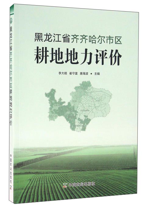 黑龙江省齐齐哈尔市区耕地地力价