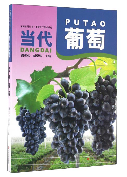当代葡萄