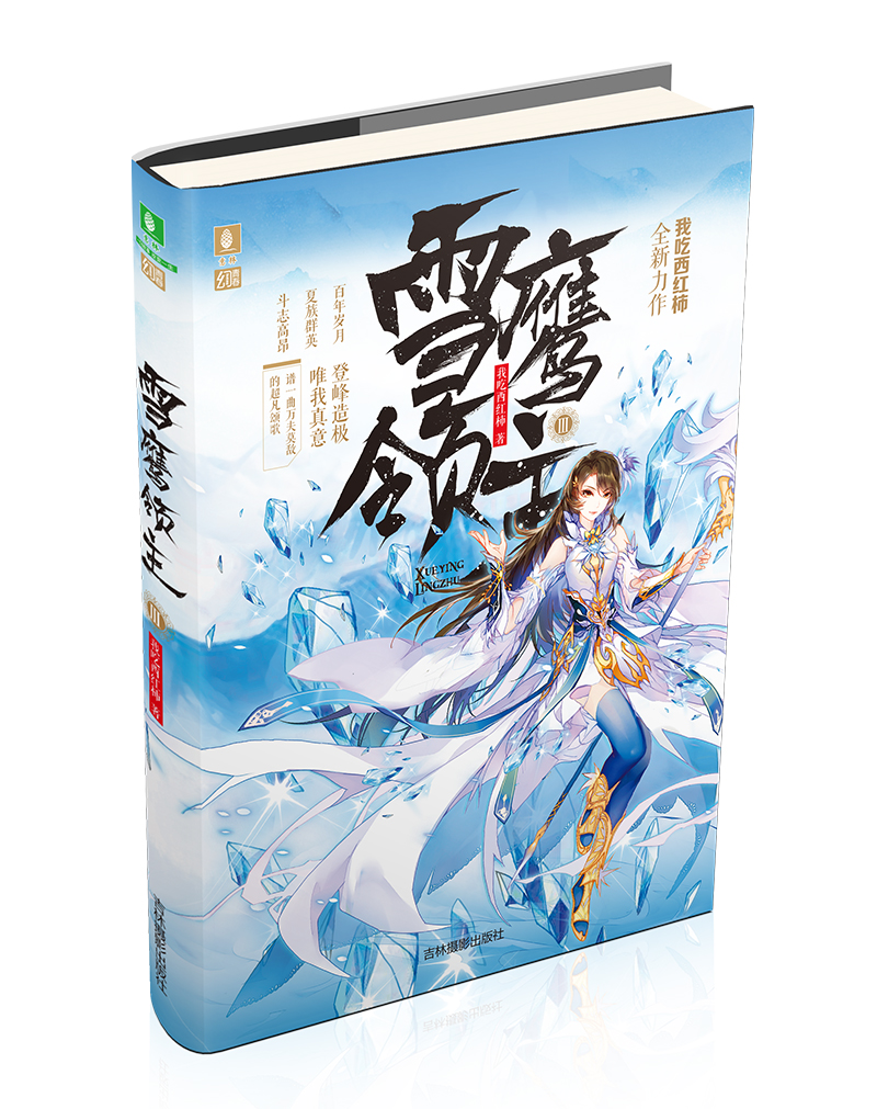 意林幻青春系列：雪鹰领主3