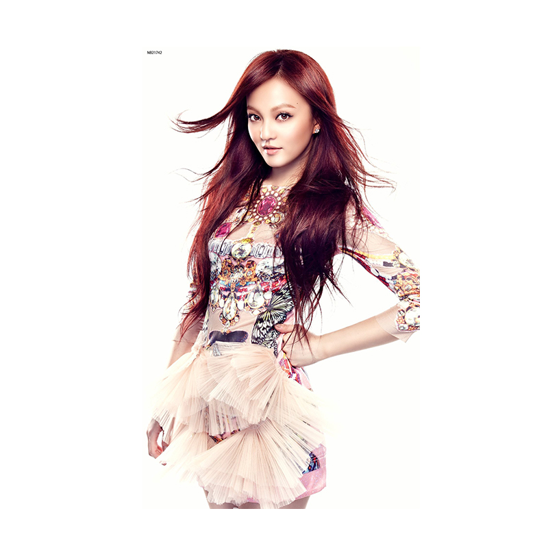 居梦坞 张韶涵台湾影视美女明星歌手海报宿舍卧室贴画装饰海报 nb2