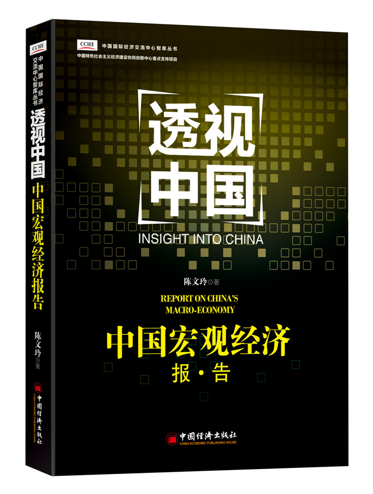 透视中国 中国宏观经济报告