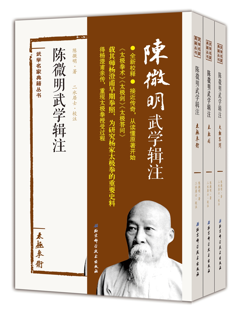 陈微明武学辑注（套装全3册）