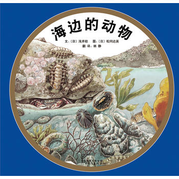 海边的动物  3-8岁儿童绘本 故事书 启蒙认知书课外阅读
