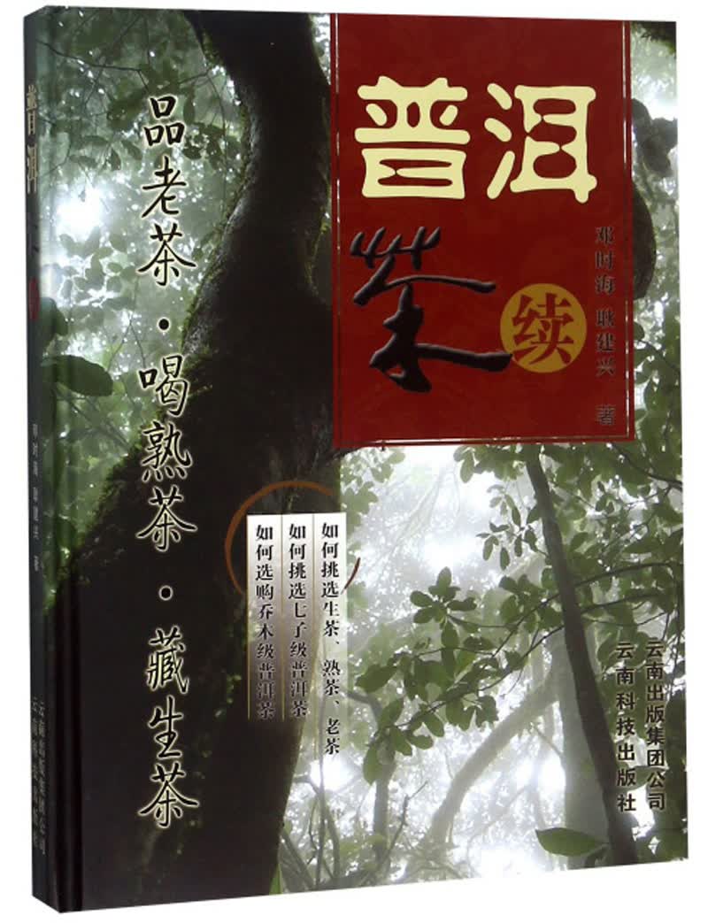 普洱茶（续）