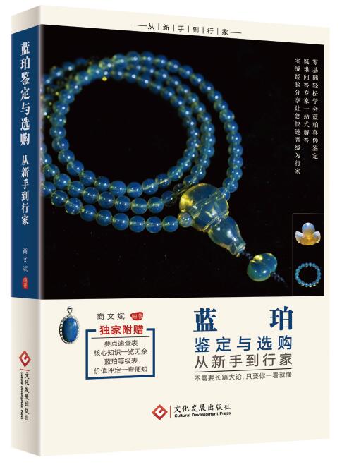 蓝珀鉴定与选购从新手到行家
