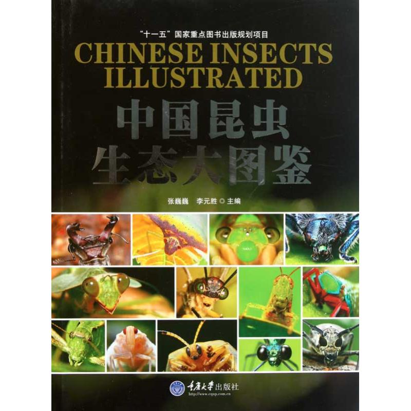 中国昆虫生态大图鉴
