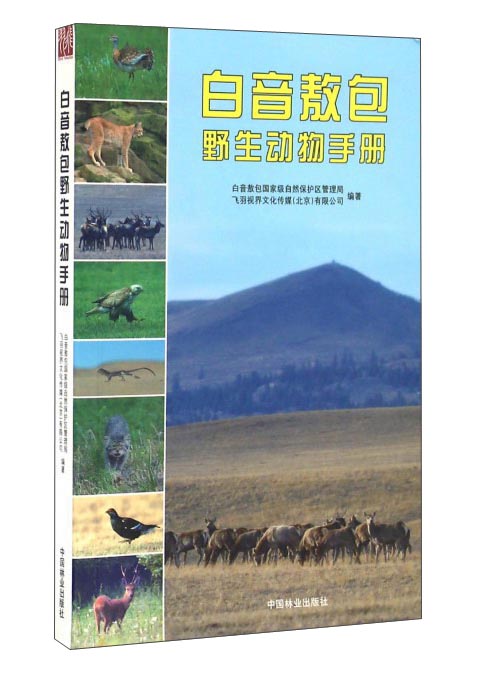 白音敖包野生动物手册