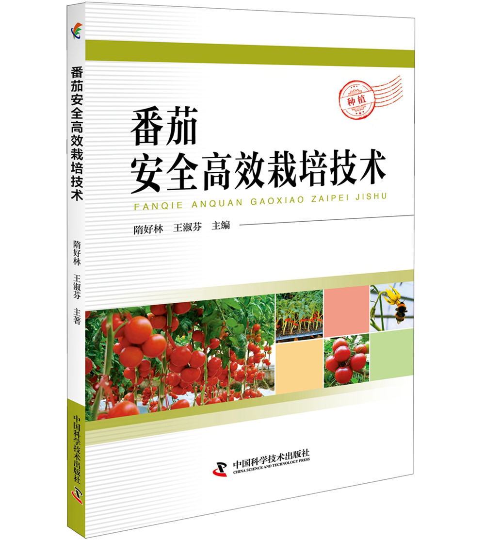 番茄安全高效栽培技术