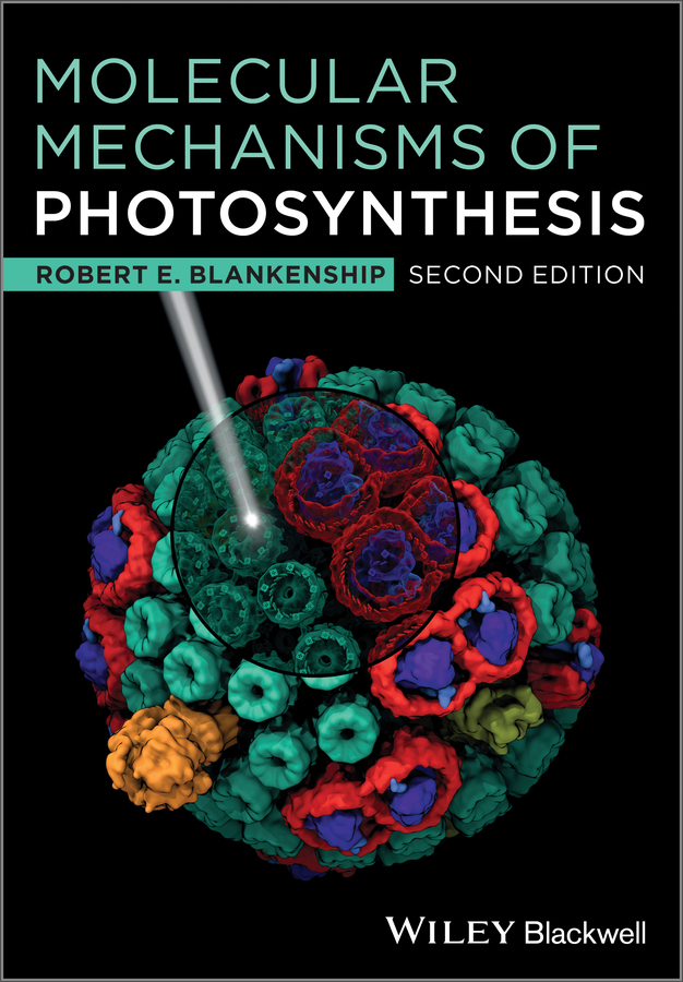 molecular mechanisms of photosynthesis, 2nd edition