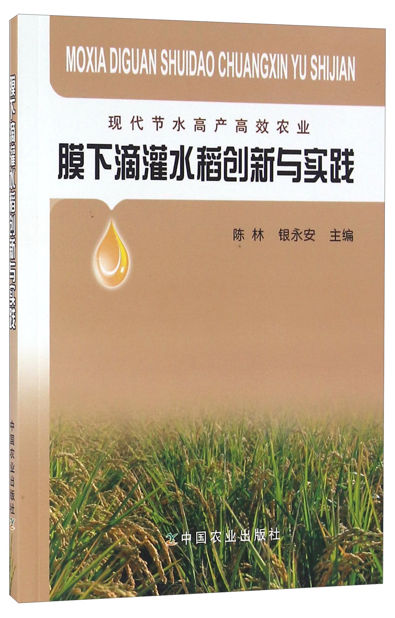 膜下滴灌水稻创新与实践