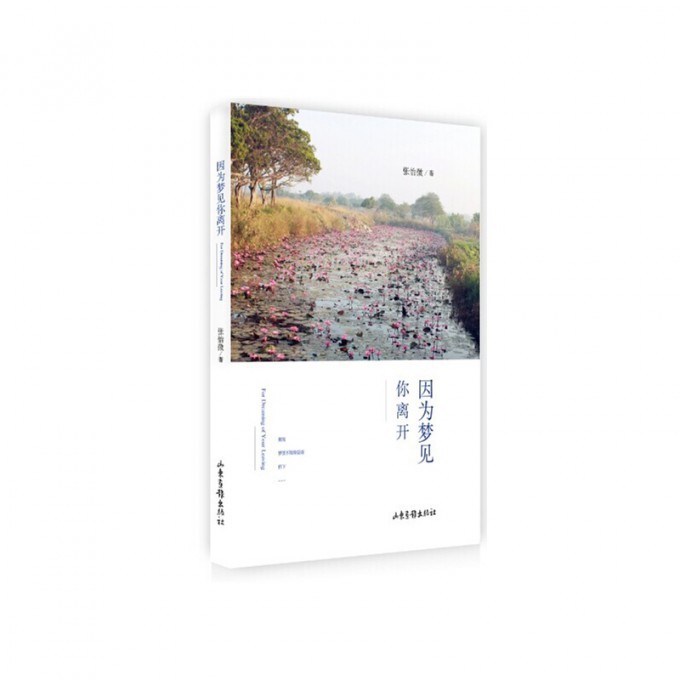 因为梦见你离开