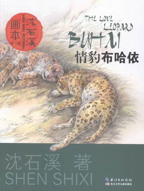正版包邮 情豹布哈依-沈石溪辑 童书 图书