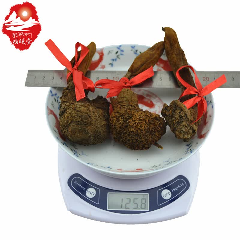 福曦堂 西藏   顶天柱 泡酒料 袋装 草苁蓉 回春草 1根190至 210克袋