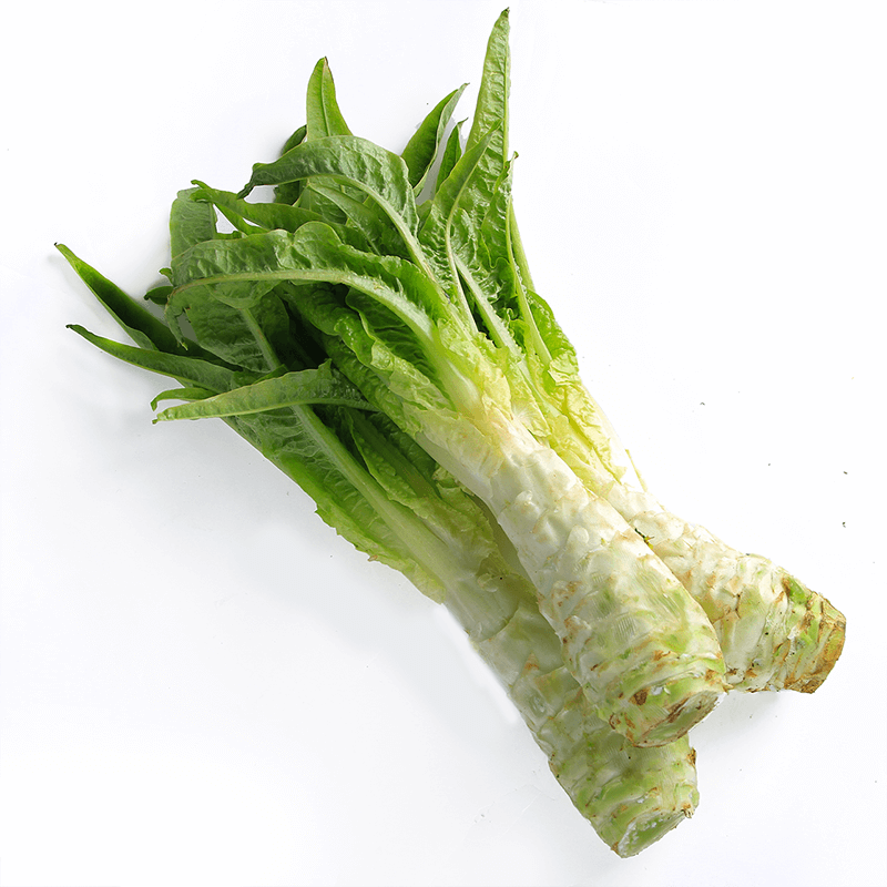 新鲜莴笋青笋莴苣笋莴菜莴笋时令蔬菜现采现发5斤