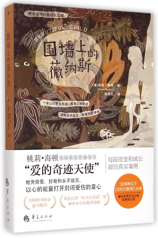 围墙上的薇纳斯/桃莉老师疗愈成长之旅