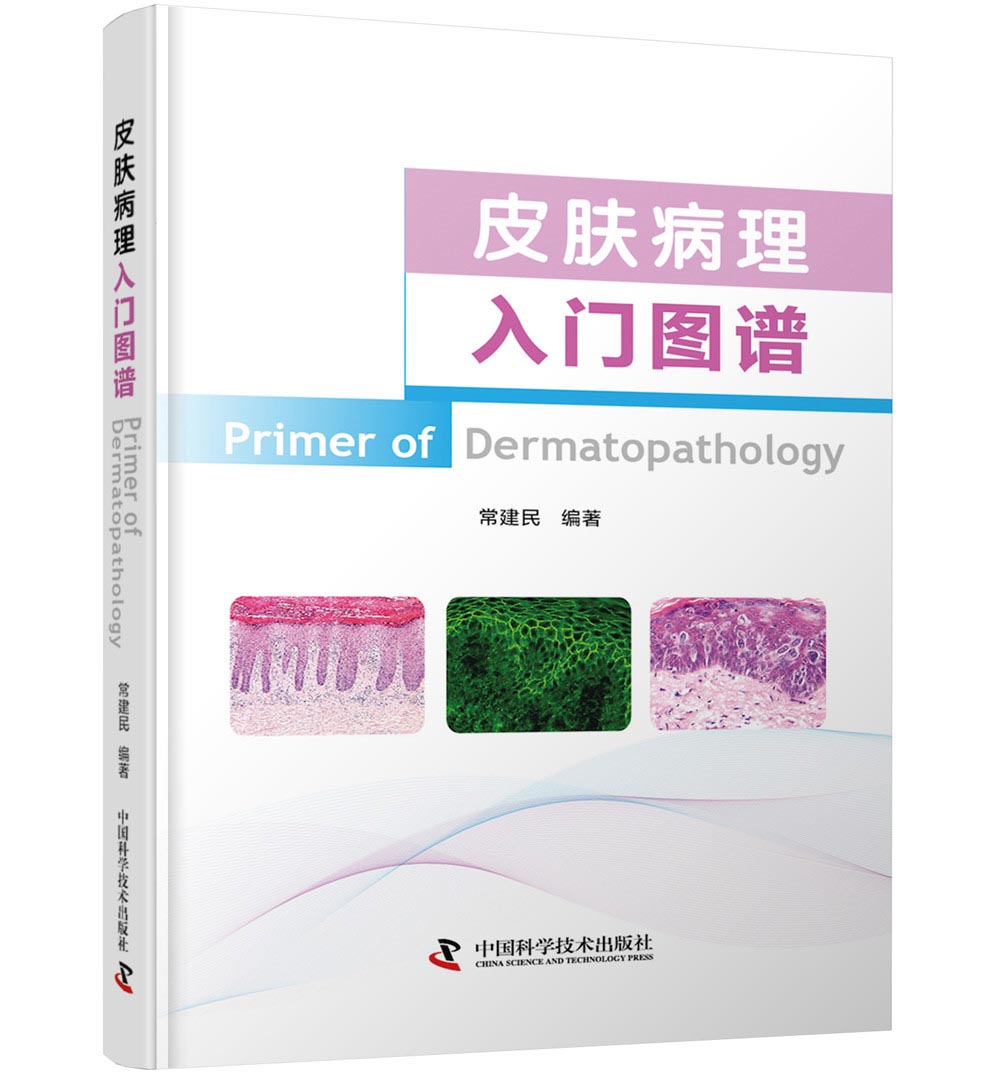 皮肤病理入门图谱