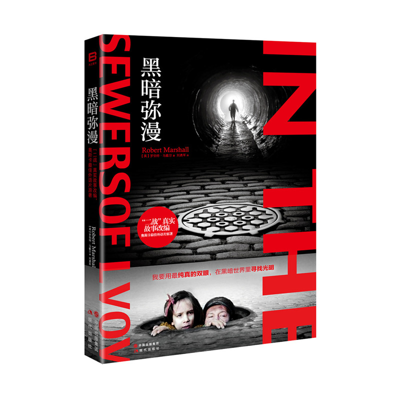 黑暗弥漫(二战真实故事改编) 小说 书籍